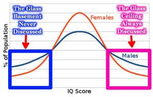Gender difference in IQ Glass ceiling basement